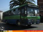 Buses Lampa Batuco Stgo. | Metalpar Petrohue Ecologico - Mercedes Benz OF-1318