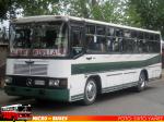Metalpar Manquehue / Mercedes Benz OF-1214 / Buses Mallarauco