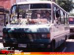 Metalpar Pucarà / Mercedes Benz LO-809 / Buses Los Molinos