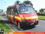 Buses Victoria, Viña del Mar | Metalpar Pucará 2000 - Mercedes Benz LO-814