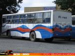 Busscar Urbanuss / Mercedes Benz OH-1420 Ref. Motor Frontal / Flores - Rural Parral