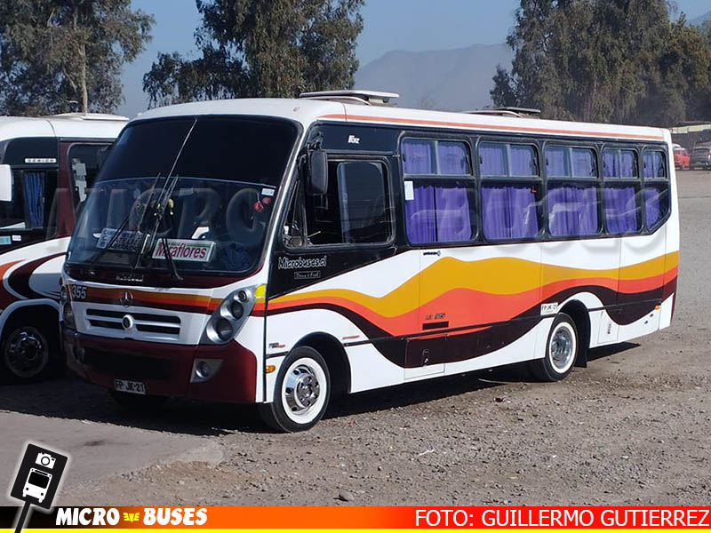 Bupesa, Peñaflor | CAIO Fóz - Mercedes Benz LO-915