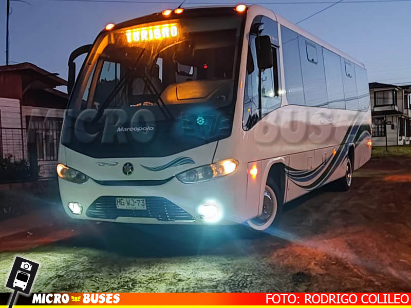 Bus Escolar, Arauco | Marcopolo Senior Ejecutivo - Mercedes Benz LO-916