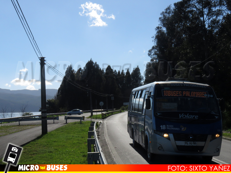 Linea 18 Buses Palomares, Concepcion | Volare W9 Fly - Agrale MA 9.2