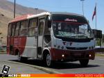 Trans Alto Hospicio S.A., Iquique | Maxibus Astor - Mercedes Benz LO-914