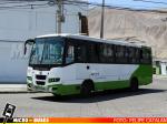 Linea 9 Iquique, Taxibuses Arturo Prat | Ashok Leyland - Eagle 814
