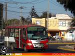 Linea 12 Arica | Mascarello Gran Micro - Agrale MA 8.5T CA