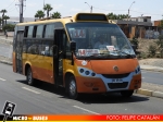 Linea 14 Arica | Metalpar Rayén - Youyi Bus ZGT6805DG