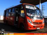 Linea 113 Arica | Neobus Thunder+ - Mercedes Benz LO-914