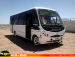Busscar Micruss / Mercedes Benz LO-914 / Litapel