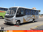Buses JLM | Busscar Micruss - Mercedes Benz LO-914