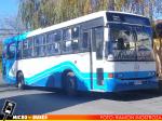 Buses Milla | Marcopolo Torino GV - Mercedes Benz OH-1420