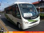 Buses Cordillera Nahuelbuta | Busscar Micruss Ejecutivo - Mercedes Benz LO-915