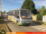 Busscar Micruss / Agrale MA 8.5 / Linea La Union - Rio Bueno