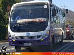 Buses Herrera, Peumo VI Region | Zhongtong Bus Taxibus 2023 - LCK6850D Cummins