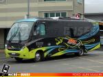Buses San Carlos, Pto. Montt | Neobus Thunder+ - Mercedes Benz LO-916