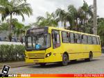 Transtusa - Transporte y Turismo Santo Antônio (SC), Joinville Brasil | Busscar Urbanuss Ecoss - Volkswagen 17.230 EOD