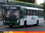 OT Trans - Ótima Salvador Transportes (BA), Brasil | Marcopolo Torino 2014 - Mercedes-Benz OF-1721 BlueTec 5