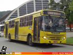 Transtusa - Transporte y Turismo Santo Antônio (SC), Joinville Brasil | Busscar Urbanuss - Volvo B58