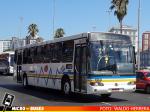 Trevo Transportes Coletivos (RS), Porto Alegre Brasil | Marcopolo Viale - Mercedes-Benz OH-1628L