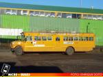 Amtran - - International 3800 | Transporte Escolar  Municipal - Punta Arenas