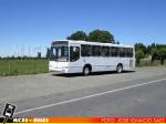 Bus Escolar | Marcopolo Torino - Mercedes Benz OH-1420