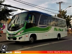 Buses Nuñez | Marcopolo New Senior - Mercedes Benz LO-916
