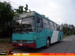 Busscar Urbanus / Mercedes Benz OH-1420 / Particular