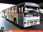 Universidad Mayor | Busscar Urbanus - Volvo B10M