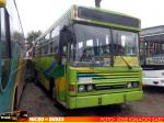 Nielson Busscar Urbanus / Mercedes Benz OF-1115 / Arle Bus