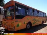 Buses Magal | Metalpar Petrohue Ecologico 2000 - Mercedes Benz OH-1420