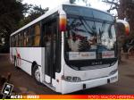 Buses Callegari | CAIO Apache S21 - Mercedes Benz OH-1420