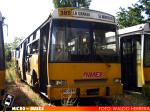 Dimex Casa Bus / 654 210 / Linea 385