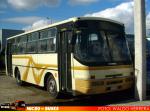 Ciferal GLS Bus ''Carnaval'' / Mercedes Benz OF-1115 / Sol de Reñaca