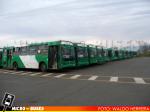 Buses Vule S.A. | Unidades Mercedes Benz Euro III de Baja