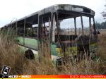 Rural Linares | Castro Caride (R) Inrecar - Mercedes Benz LPO-1113