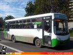 Viña Bus S.A. U2 TMV | Metalpar Puelche Evolution - Mercedes Benz OF-1218