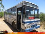 Ciferal Padron Rio ''Carnaval'' / Mercedes Benz OF-1115 / Buses Litoral Central