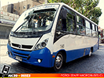 Unidad 4 Viña Bus | Neobus Thunder + - Mercedes Benz LO-915