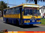 Ciferal Padron Rio Carnaval / Mercedes Benz OF-1115 / Nueva Buses San Antonio