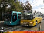 Linea 357 & Metbus S.A. 'La Bolocco' - Dia del Patrimonio 2023 Santiago | Marcopolo Torino LN & CAIO Mondego H - Volvo B58 & M. Benz O-500U