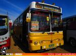 Linea 406 - Expo Buses Colina Agosto 2022 | Metalpar Petrohue Ecologico 2000 - Mercedes Benz OH-1420