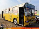 Linea 142 - Junta a Beneficio Nacion Amarillas Mayo 2023 | Busscar Urbanus - Mercedes Benz OHL-1320