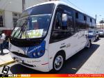 Buses San Julian, Ovalle | Busscar Micruss Ejecutivo - Mercedes Benz LO-914