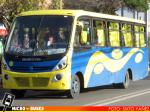Damir Local Colina | Busscar Micruss - Mercedes Benz LO-915