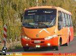 Servi Express Ltda., Melipilla | Metalpar Aconcagua - Mercedes Benz LO-915