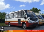 Transportes Quinto Centenario Osorno |Marcopolo Senior - Mercedes Benz LO-812