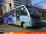 Linea 24 San Remo | Neobus Thunder + - Mercedes Benz LO-916