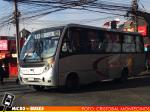 Linea 6 Chillan | Neobus Thunder+ Acc. Universal - Mercedes Benz LO-916