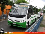 Linea 8 Chillan | Caio Piccolo - Mercedes Benz LO-712